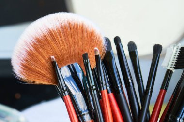 Profesyonel makyaj fırçaları