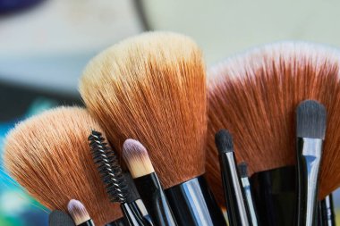 Profesyonel makyaj fırçaları