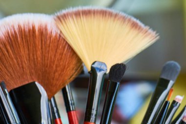 Profesyonel makyaj fırçaları