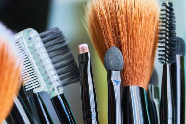 Profesyonel makyaj fırçaları