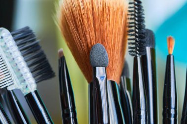 Profesyonel makyaj fırçaları