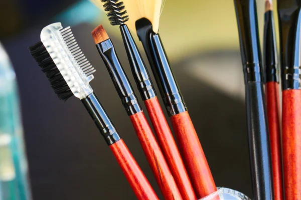 Profesyonel makyaj fırçaları