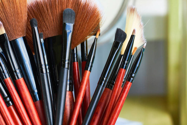 Professional Makeup Brushes