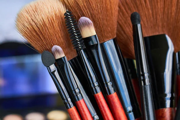 Profesyonel makyaj fırçaları