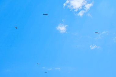 Gökyüzünde uçan Glarus