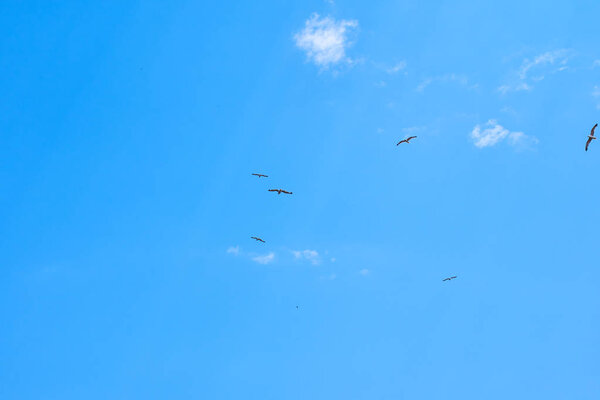 Glarus flying in the sky