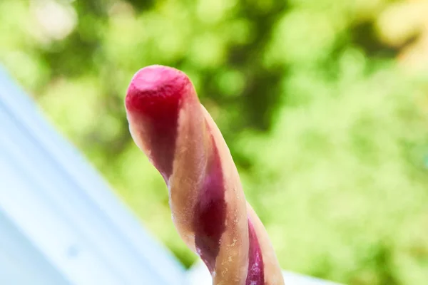 Crème glacée popsicles — Photo