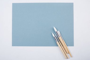 farklı Boya fırçaları