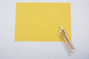 farklı Boya fırçaları