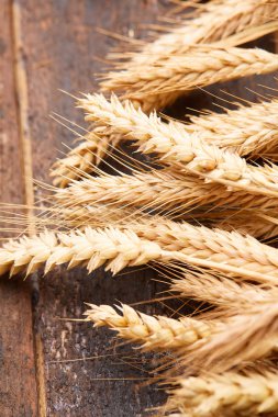 ahşap zemin üzerinde buğday spikelets
