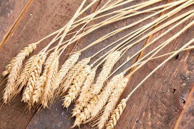 ahşap zemin üzerinde buğday spikelets