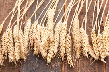 ahşap zemin üzerinde buğday spikelets