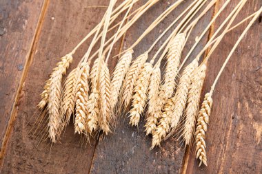 ahşap zemin üzerinde buğday spikelets