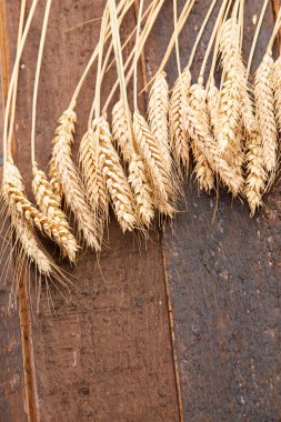 ahşap zemin üzerinde buğday spikelets