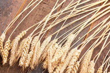 ahşap zemin üzerinde buğday spikelets