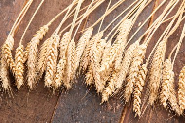 ahşap zemin üzerinde buğday spikelets