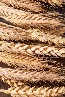 ahşap zemin üzerinde buğday spikelets