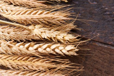 ahşap zemin üzerinde buğday spikelets