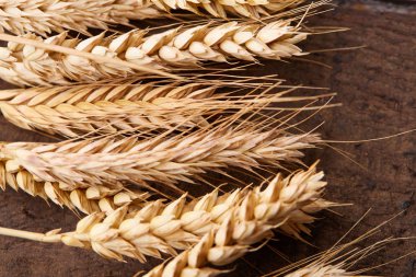 ahşap zemin üzerinde buğday spikelets