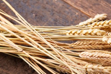 ahşap zemin üzerinde buğday spikelets