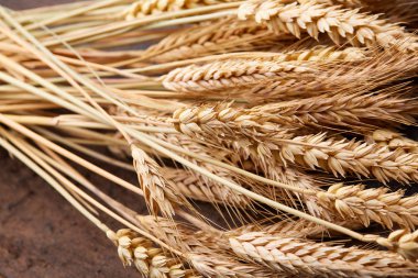 ahşap zemin üzerinde buğday spikelets