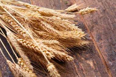 ahşap zemin üzerinde buğday spikelets