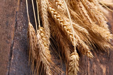 ahşap zemin üzerinde buğday spikelets