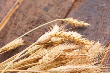 ahşap zemin üzerinde buğday spikelets