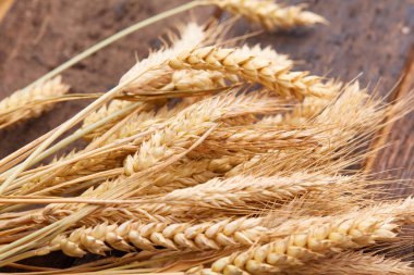 ahşap zemin üzerinde buğday spikelets