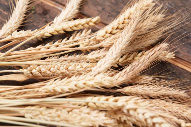 ahşap zemin üzerinde buğday spikelets