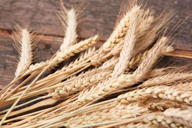 ahşap zemin üzerinde buğday spikelets