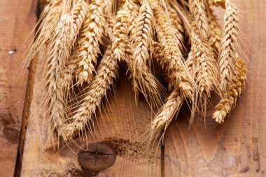 ahşap zemin üzerinde buğday spikelets