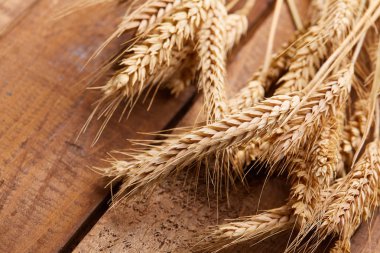 ahşap zemin üzerinde buğday spikelets