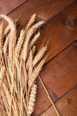 ahşap zemin üzerinde buğday spikelets