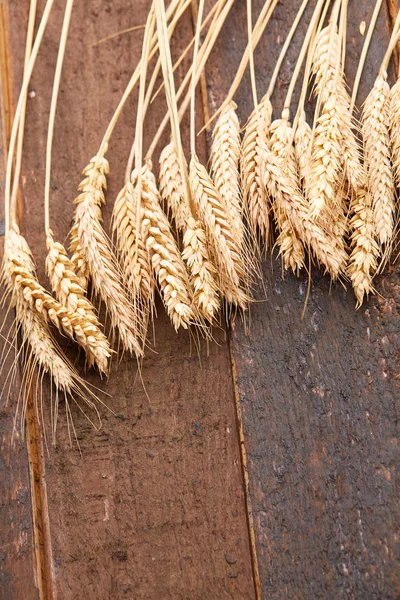 ahşap zemin üzerinde buğday spikelets