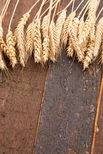 ahşap zemin üzerinde buğday spikelets
