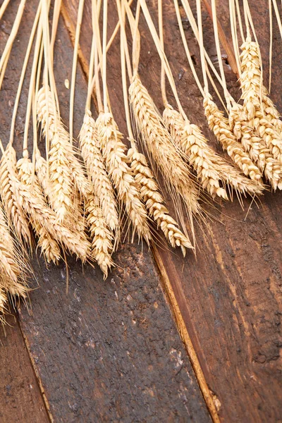 ahşap zemin üzerinde buğday spikelets