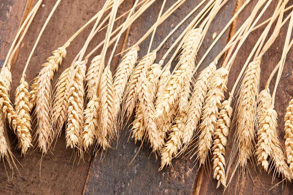 ahşap zemin üzerinde buğday spikelets