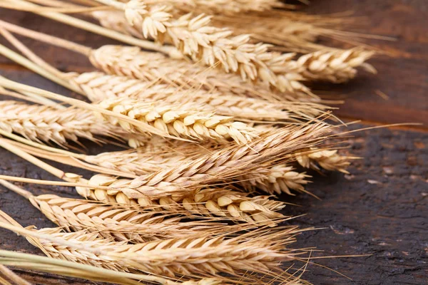 ahşap zemin üzerinde buğday spikelets