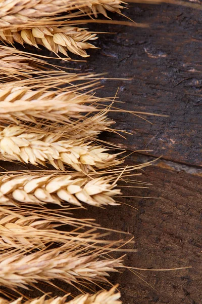 ahşap zemin üzerinde buğday spikelets