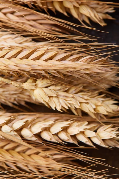 ahşap zemin üzerinde buğday spikelets