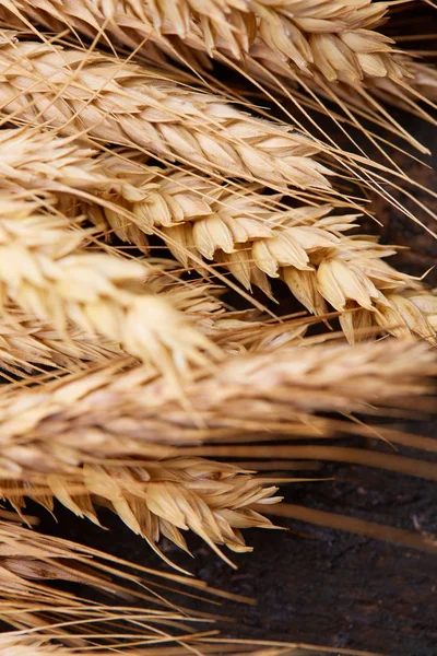 ahşap zemin üzerinde buğday spikelets
