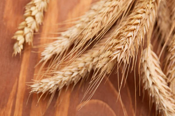 Колоски пшеницы на деревянном фоне — стоковое фото