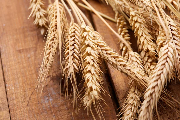 ahşap zemin üzerinde buğday spikelets