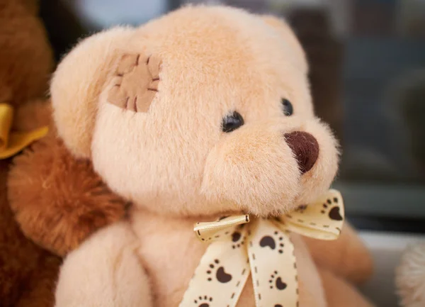 Teddy bears on the window — Stock Photo, Image