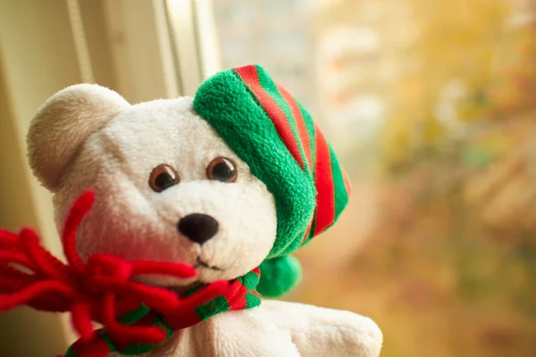 White Christmas teddy bear — Stock Photo, Image