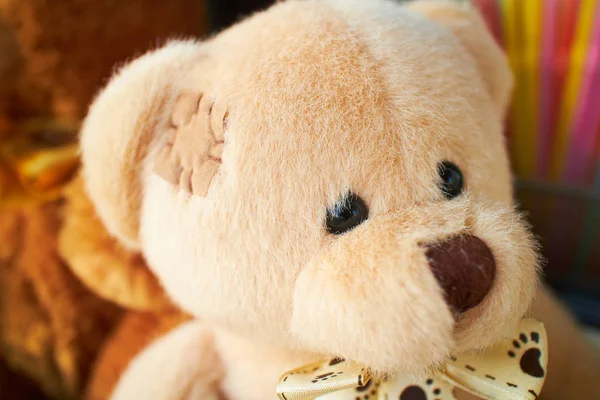 Teddy bears on the window — Stock Photo, Image