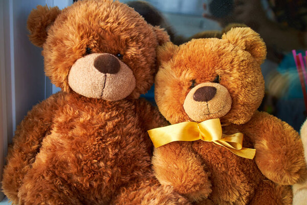  teddy bears on the window