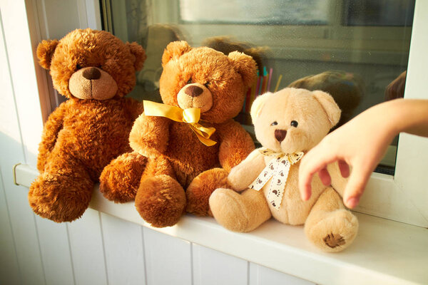  teddy bears on the window