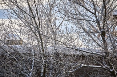 Şehirde karlı bir kış